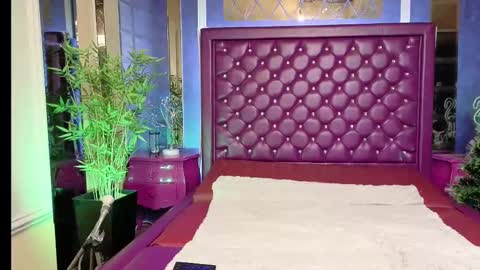 VIJ online show from February 10, 2025, 11:46 am