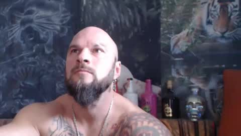 viking online show from November 11, 2025, 8:14 am