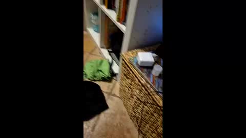 Vinz online show from March 11, 2026, 2:17 am