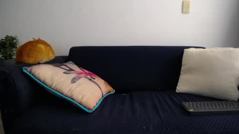 Violeta Gmez online show from March 11, 2025, 8:53 pm