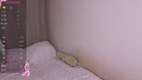 vitterrick online show from November 25, 2025, 4:07 pm