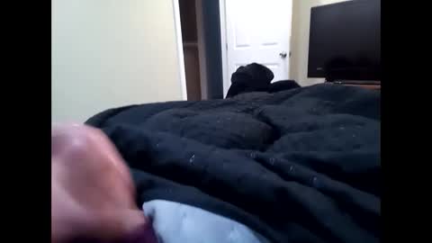 vladedivac1998 online show from September 23, 2025, 4:43 pm