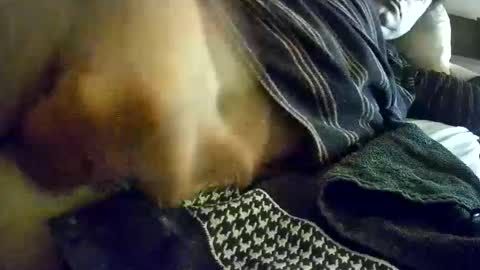 vleeslollie2024 online show from January 13, 2025, 7:21 am