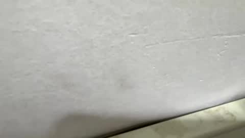 vmontel88 online show from March 17, 2026, 1:36 pm