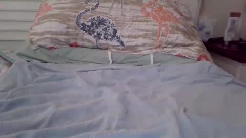 Snapshot of vwjim26 chatting on September 26, 2025, 4:00 pm vwjim26 online show from September 26, 2025, 4:00 pm