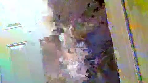 Walter online show from December 9, 2024, 10:43 am