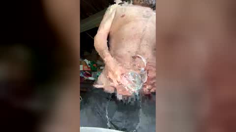 Snapshot of waltbkk chatting on March 12, 2026, 5:52 pm Walter online show from March 12, 2026, 5:52 pm