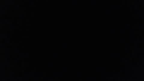 WALTER BROWN  online show from March 8, 2026, 2:37 am