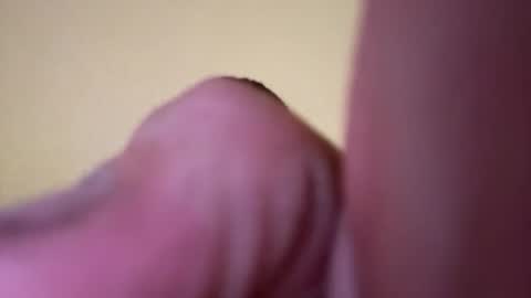 wayneneriate12 online show from February 15, 2026, 2:19 am