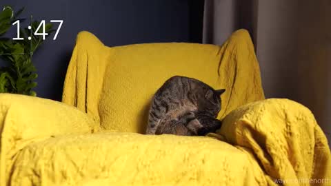 waynenorth online show from September 21, 2025, 3:13 pm