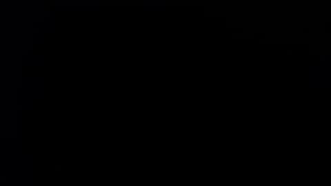 wellingtont online show from September 21, 2025, 4:36 am