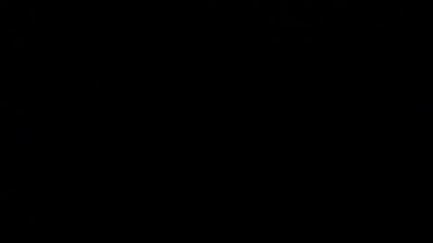 wellingtont online show from December 20, 2025, 4:08 am