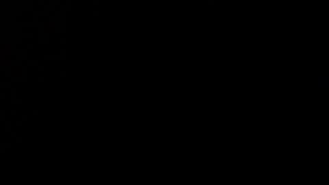 wellingtont online show from December 21, 2025, 9:27 am