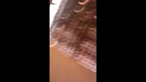 wgebnnrfodwt online show from April 3, 2026, 7:01 pm