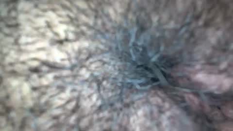 Snapshot of white_sexy_ chatting on September 21, 2025, 11:34 am white_sexy_ online show from September 21, 2025, 11:34 am