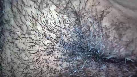 Snapshot of white_sexy_ chatting on November 20, 2025, 10:15 am white_sexy_ online show from November 20, 2025, 10:15 am