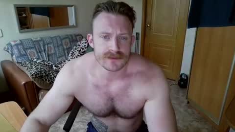 WhiteBull online show from August 9, 2026, 10:42 am