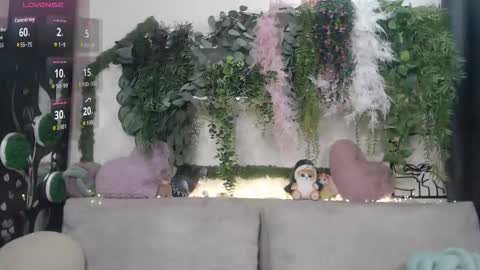 wiagra online show from December 23, 2025, 9:07 am