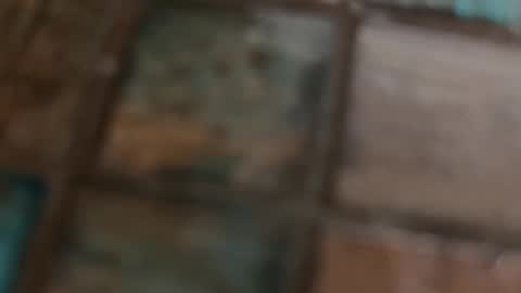 Snapshot of wievin chatting on February 10, 2026, 10:19 am VI online show from February 10, 2026, 10:19 am