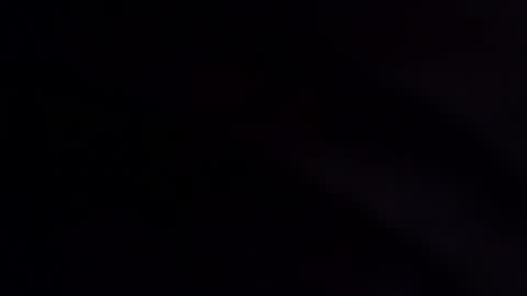 wildara online show from December 2, 2025, 11:11 pm