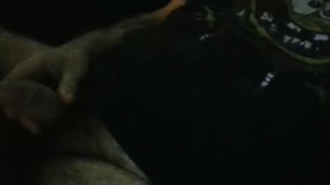 WildeAlex online show from September 28, 2025, 11:21 pm