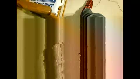 wildman2900 online show from December 29, 2024, 3:24 pm