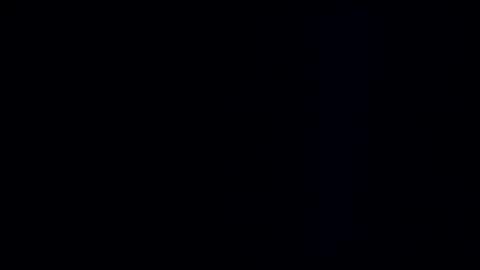 wildman3845 online show from December 29, 2024, 1:17 pm