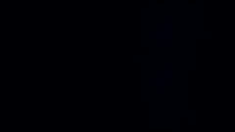 wildman3845 online show from December 30, 2024, 11:59 am