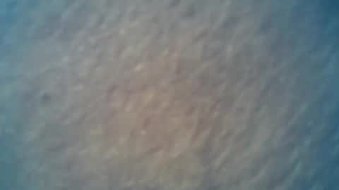 wildman6 online show from February 15, 2025, 9:26 pm