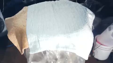 wildman6 online show from November 17, 2025, 8:47 pm