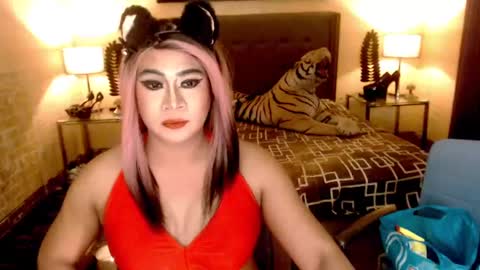 wildtransjhade online show from January 6, 2025, 9:30 am