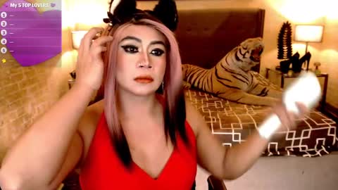 wildtransjhade online show from January 11, 2025, 2:15 pm