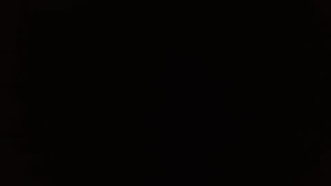 wildwills online show from April 14, 2026, 6:14 pm