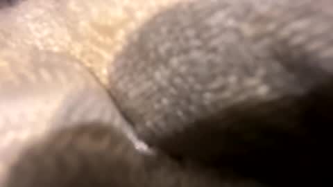 wiley0520 online show from October 27, 2025, 11:36 am