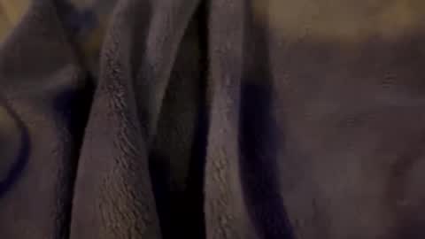 wiley0520 online show from January 15, 2026, 9:03 am