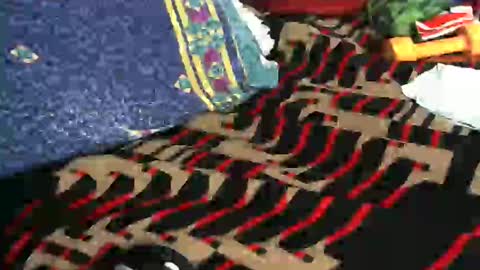 Willamyth online show from February 18, 2025, 8:49 am