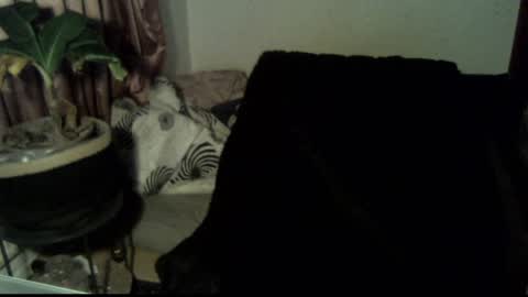 Call me Babe online show from December 18, 2024, 3:11 pm