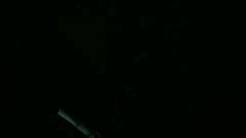 Willhedoher online show from September 11, 2025, 11:43 am