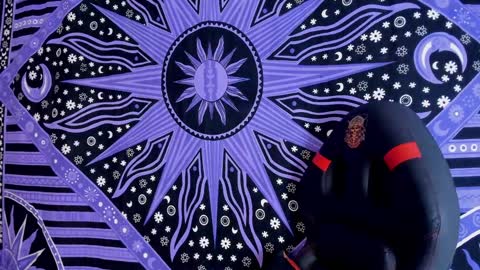 willy_veins online show from December 3, 2024, 8:27 am