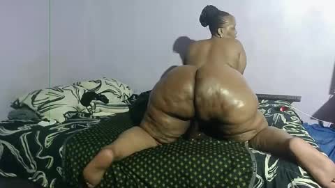 wilmaassylum online show from January 24, 2025, 3:13 pm