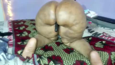 wilmaassylum online show from January 5, 2026, 5:27 pm