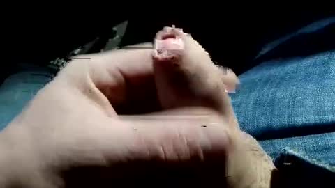 win1987t online show from December 16, 2024, 5:27 am