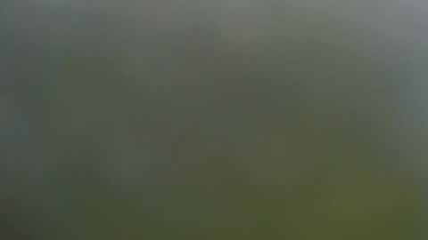 Wisa Randy online show from November 11, 2025, 6:08 pm