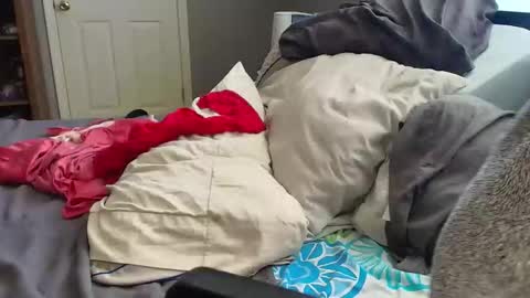 witchbitchmommy online show from March 18, 2026, 6:11 pm