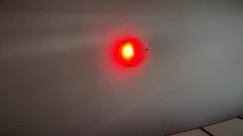 Witebull online show from September 17, 2025, 6:59 am