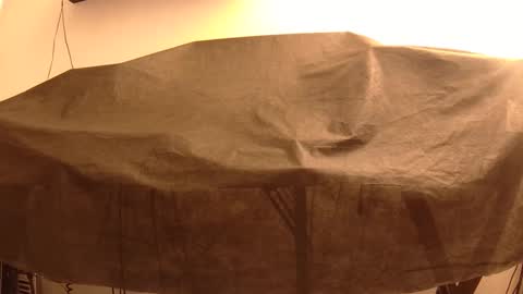 Mater online show from January 22, 2025, 4:02 pm