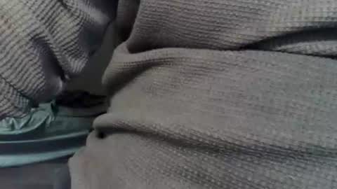 wolfreapsurass online show from February 24, 2026, 3:15 am
