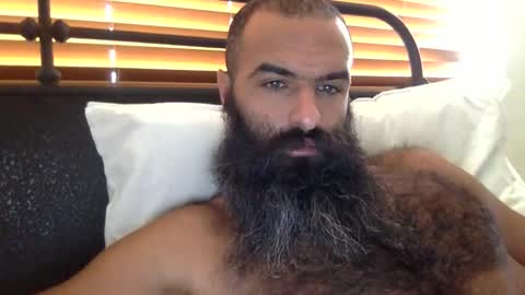Snapshot of woof_wolf37 chatting on October 17, 2025, 5:15 pm woof_wolf37 online show from October 17, 2025, 5:15 pm
