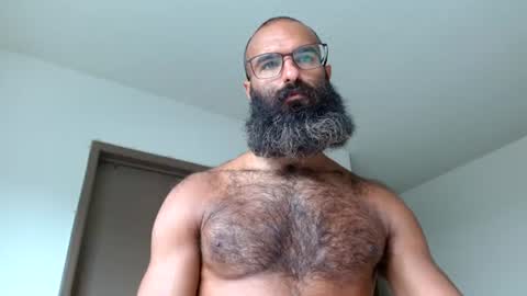 Snapshot of woof_wolf37 chatting on June 23, 2026, 4:27 pm woof_wolf37 online show from June 23, 2026, 4:27 pm