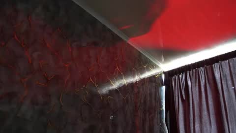 Woondeer online show from February 2, 2026, 6:06 pm